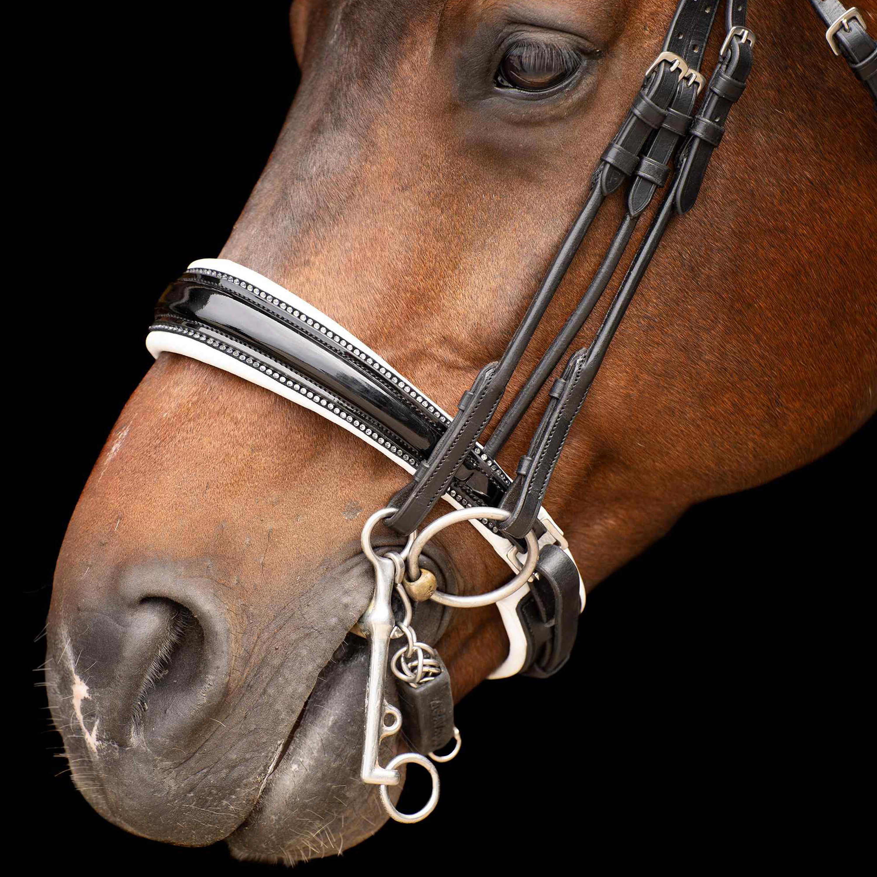 Weymouth bridle IRHOlympia