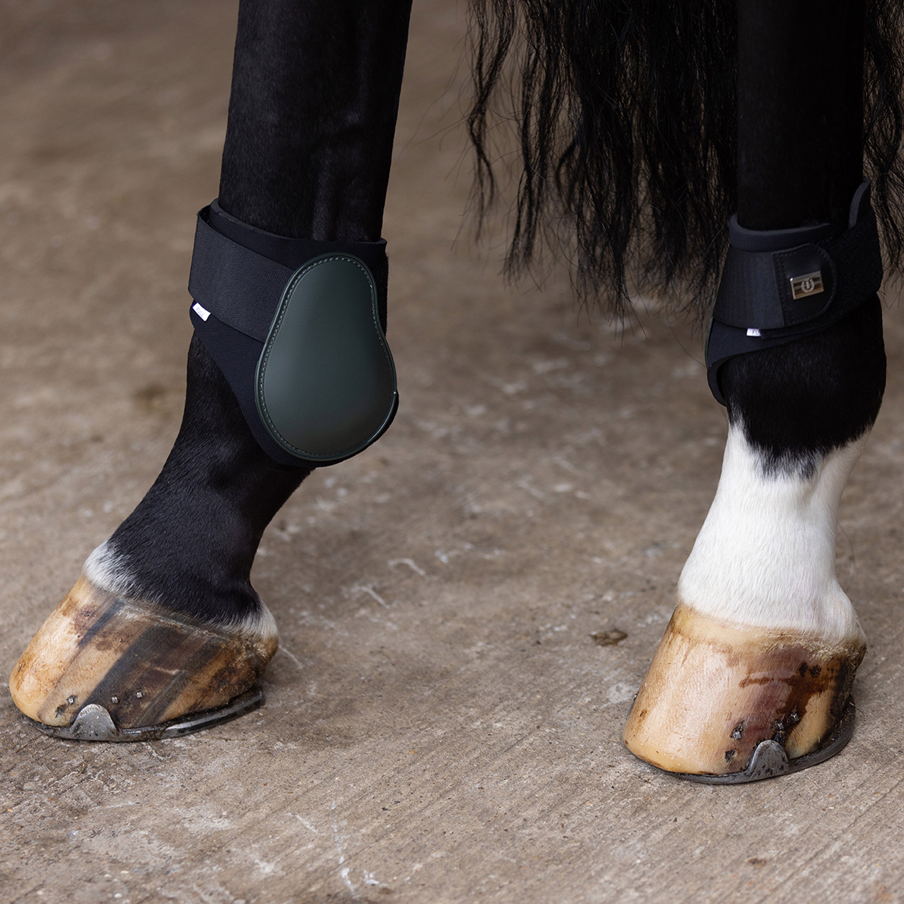 Fetlock boots IRHLovely