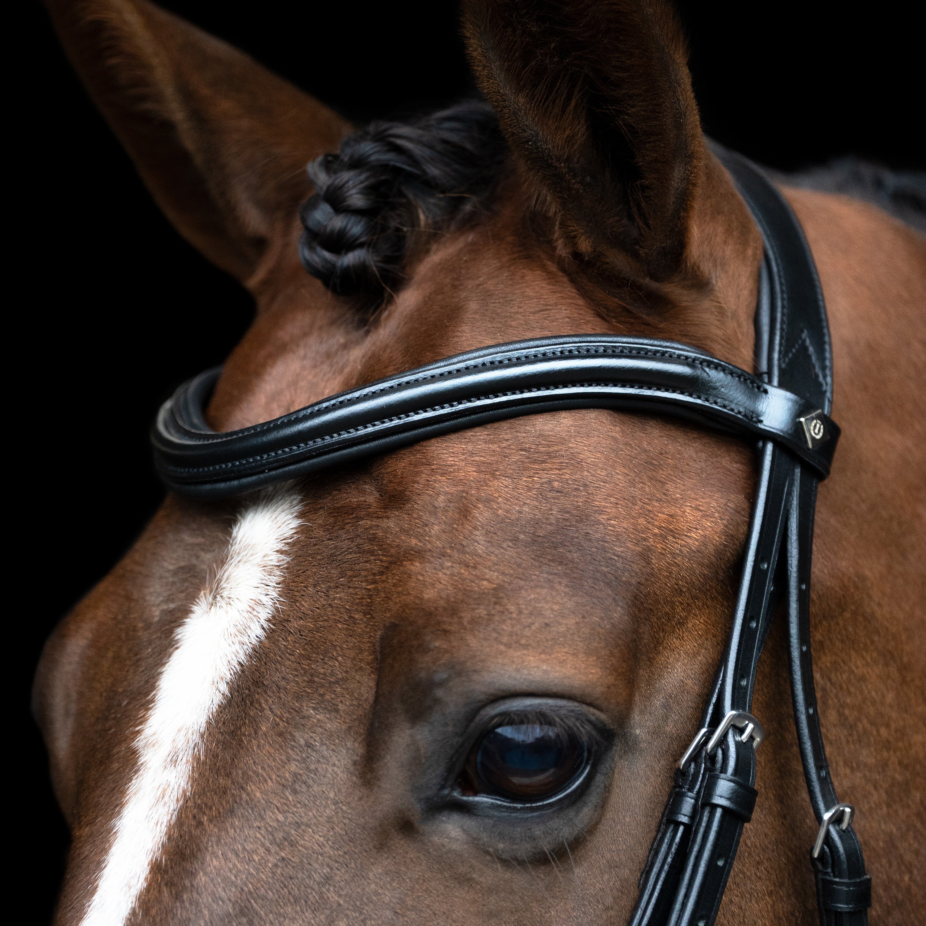 Bridle English IRH combined sleek