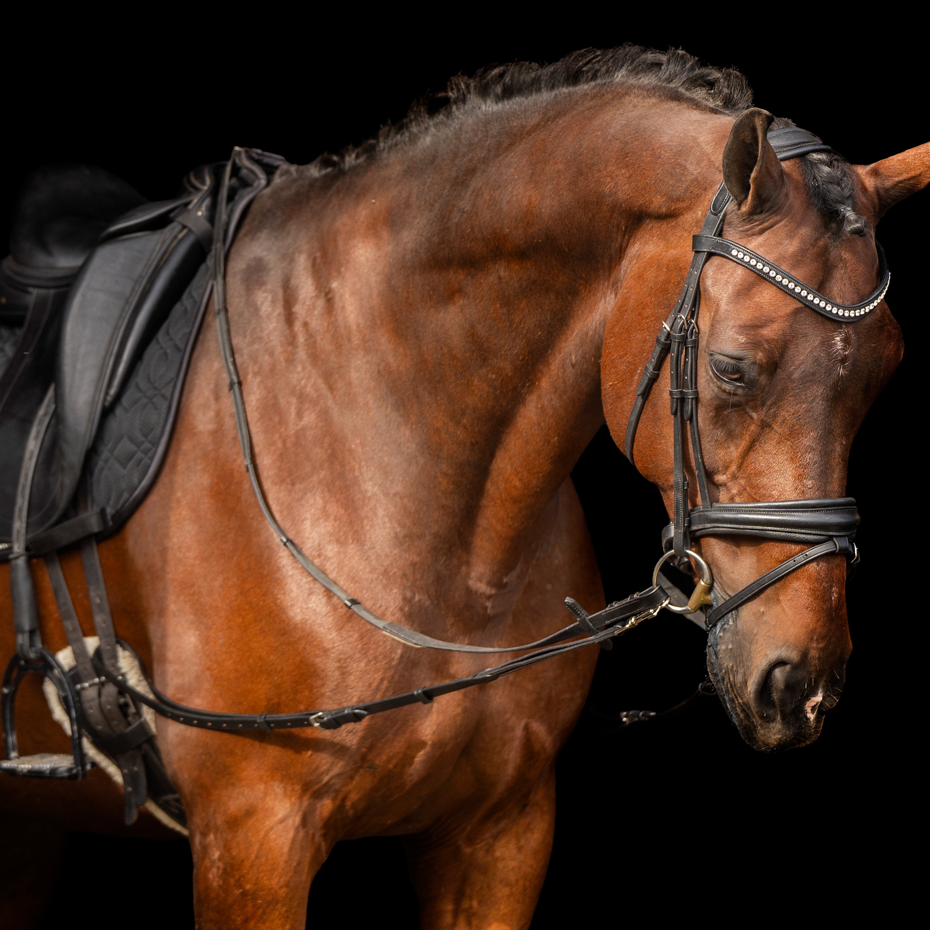 Side reins leather with elastic