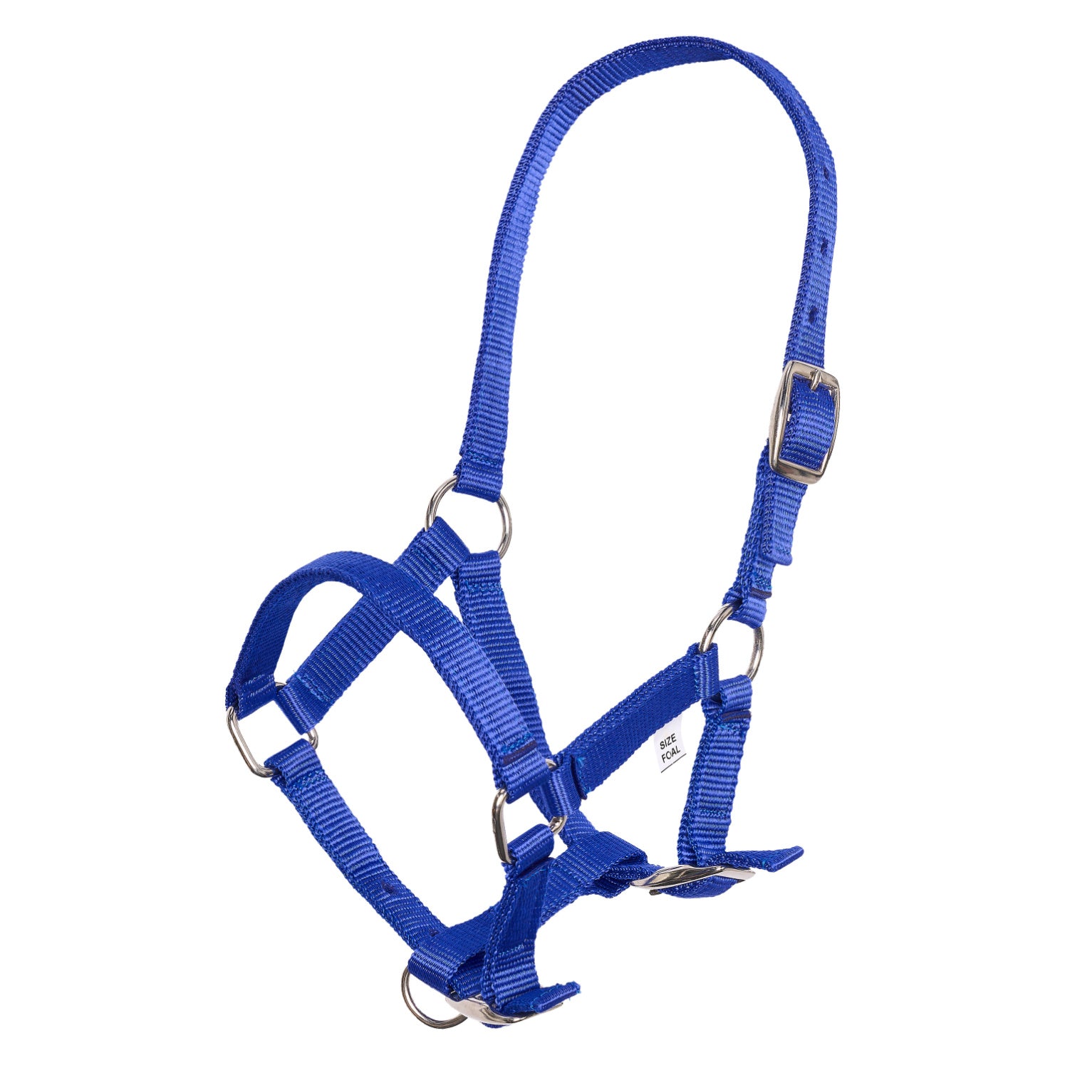 Headcollar foal IRH