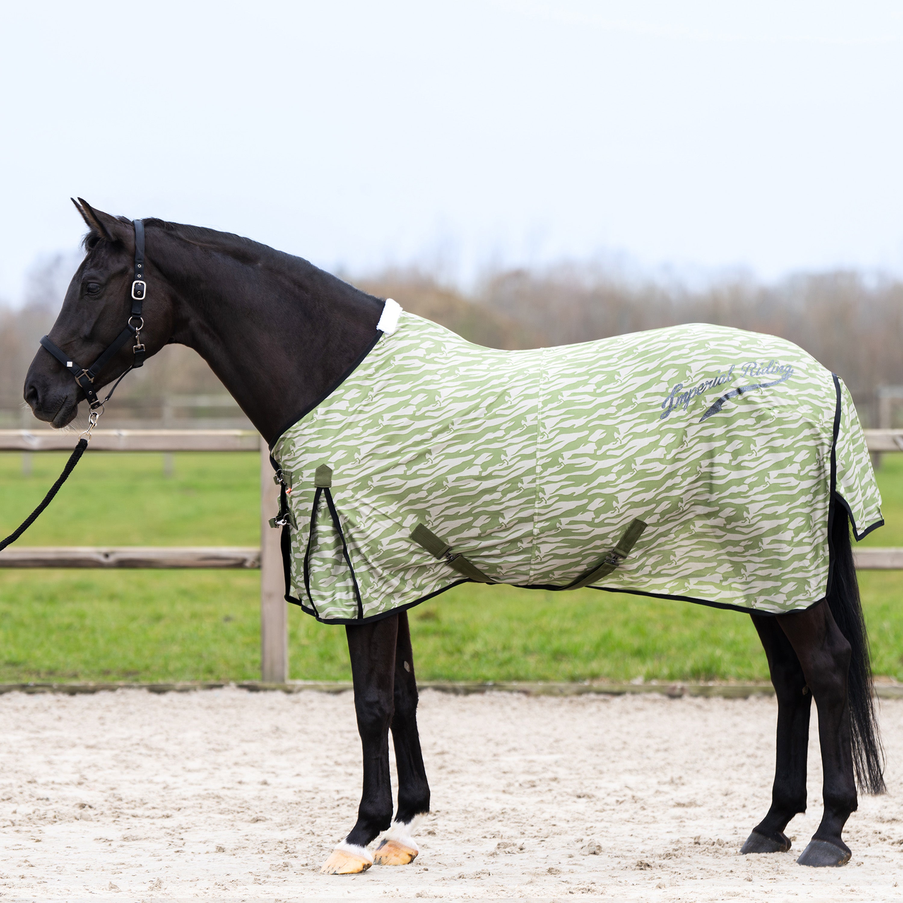 Fly blanket IRHCarlys
