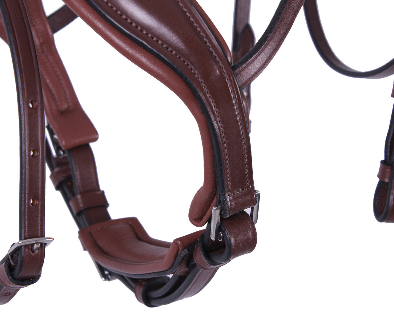 bridle odin