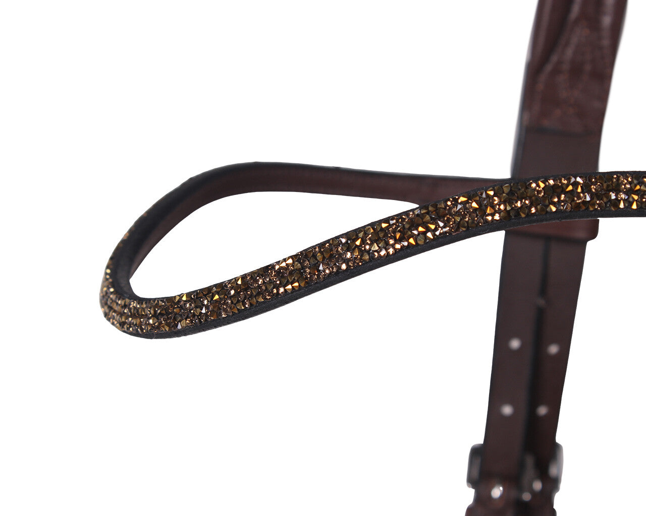 trainings bridle