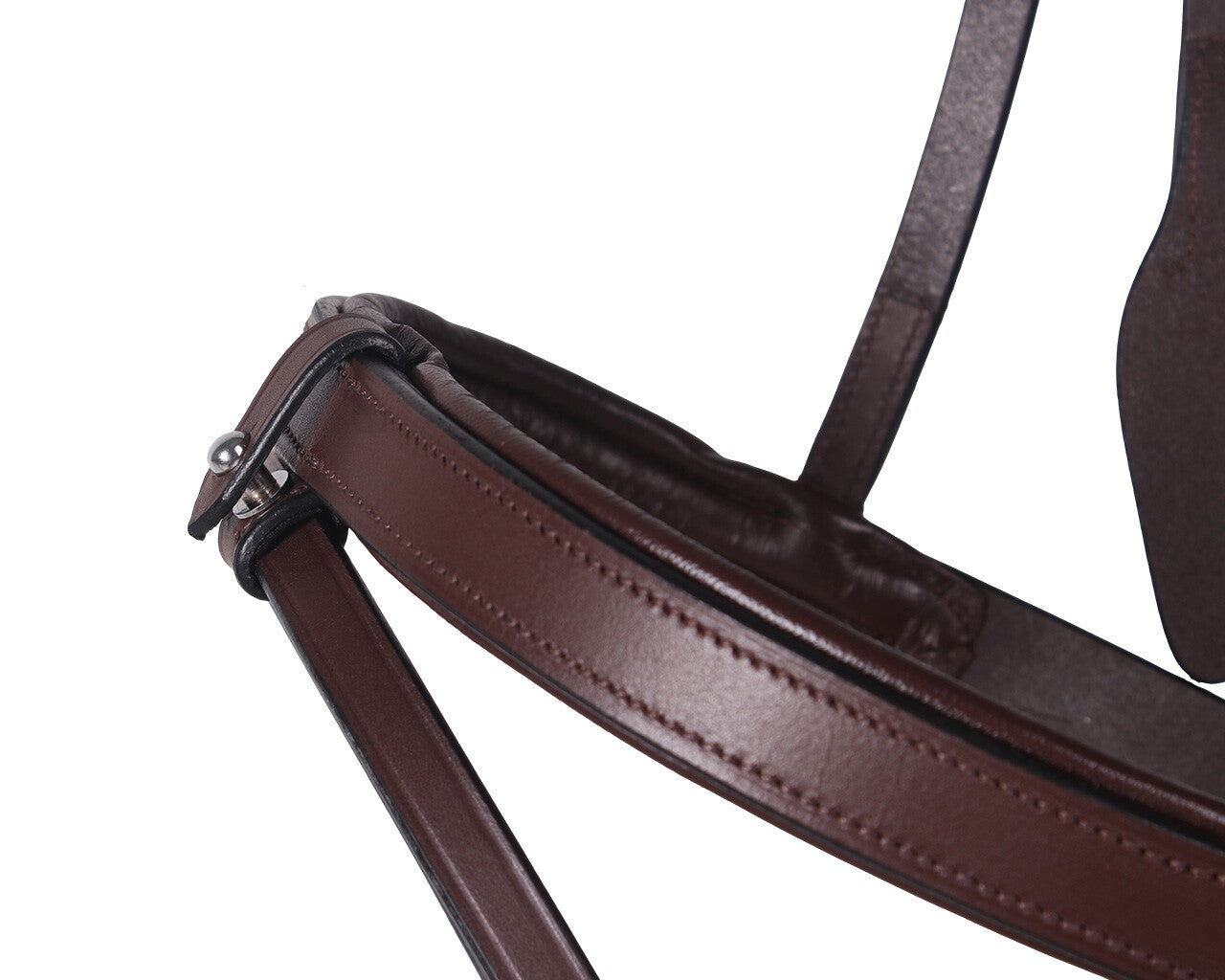 trainings bridle