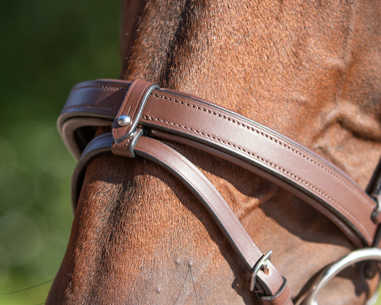 trainings bridle
