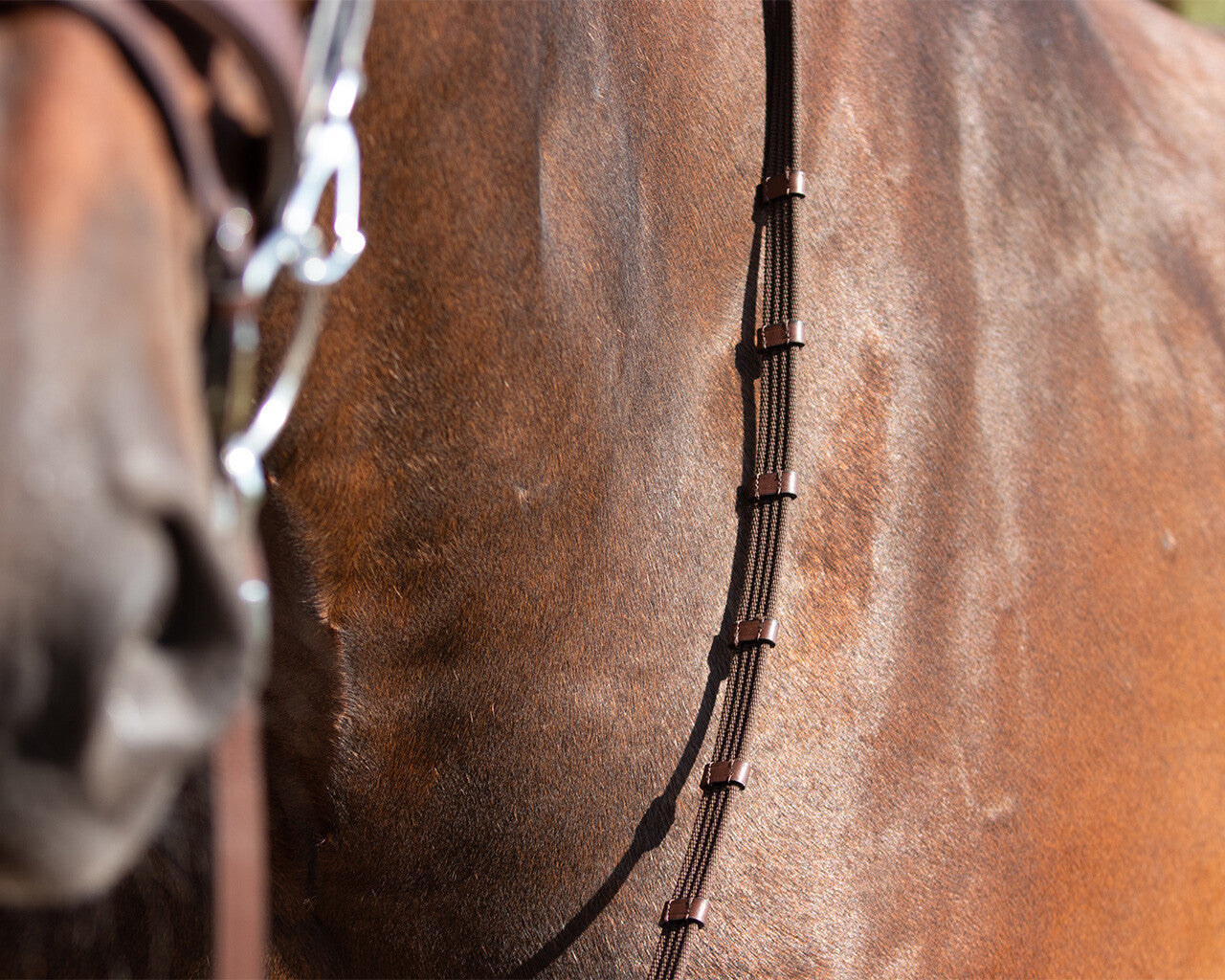 trainings bridle
