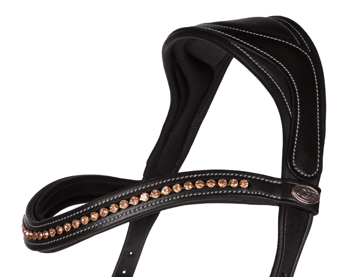 bitless bridle anatomical