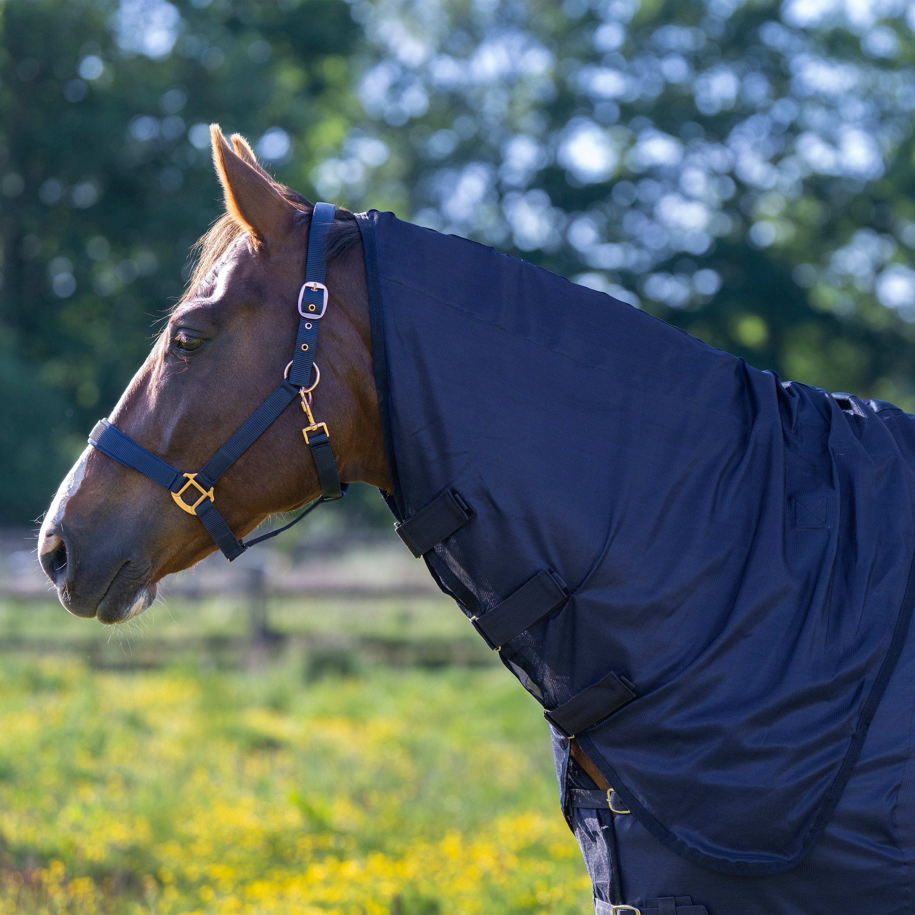 Fly blanket IRHReese