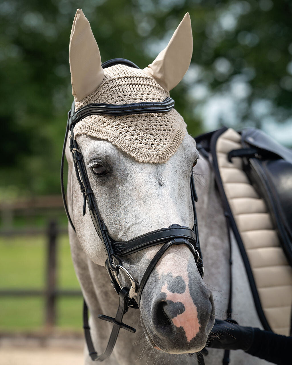 Bridle Salerno incl. reins