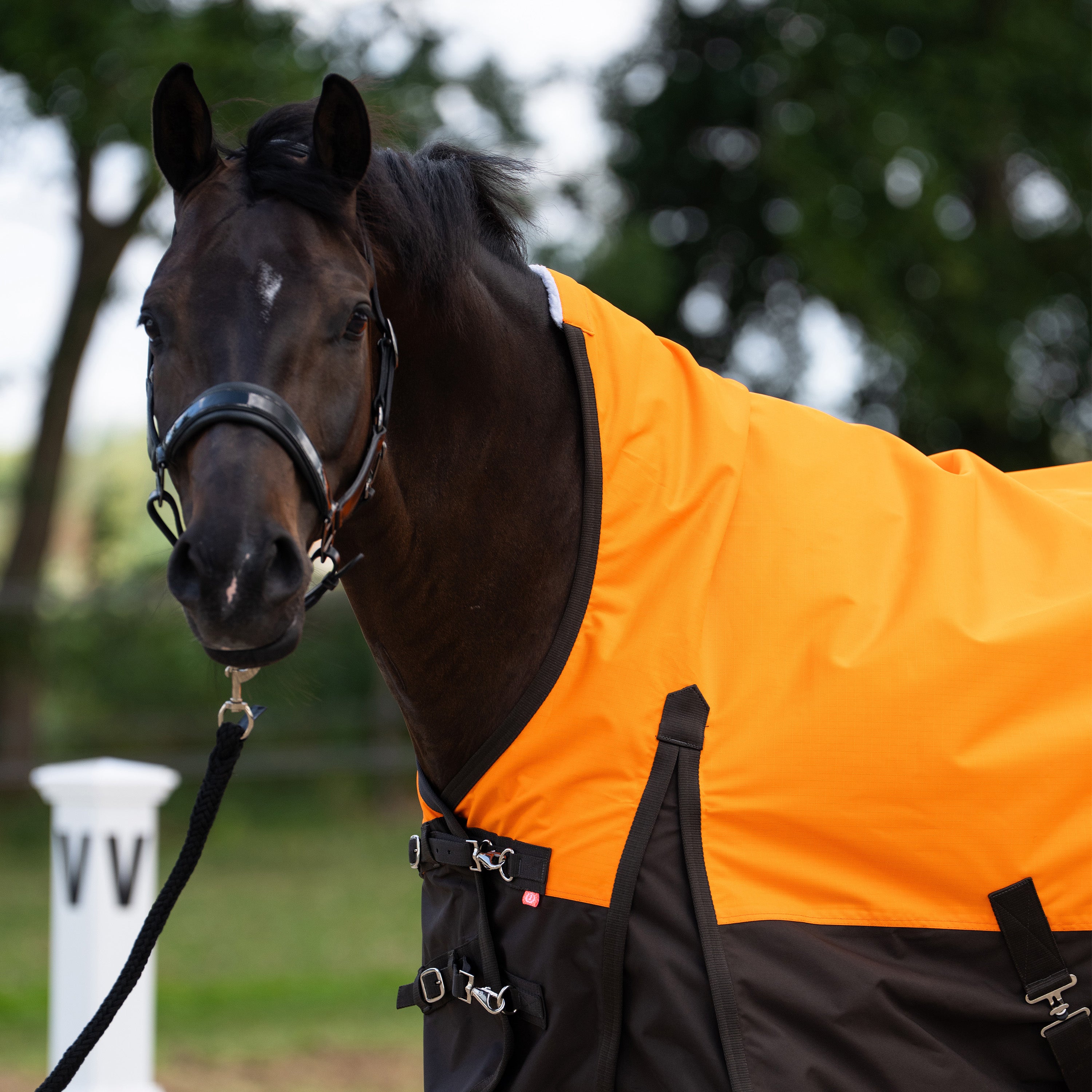 Outdoor blanket IRHCustomized with high neck Summer