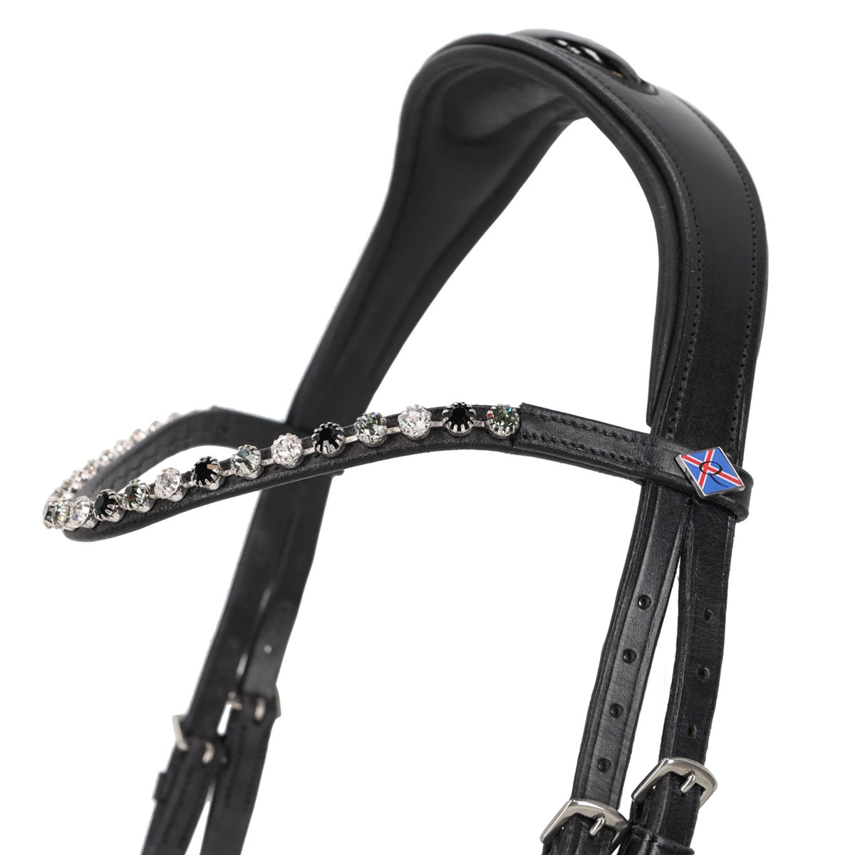 Bridle Fjara Icelandic