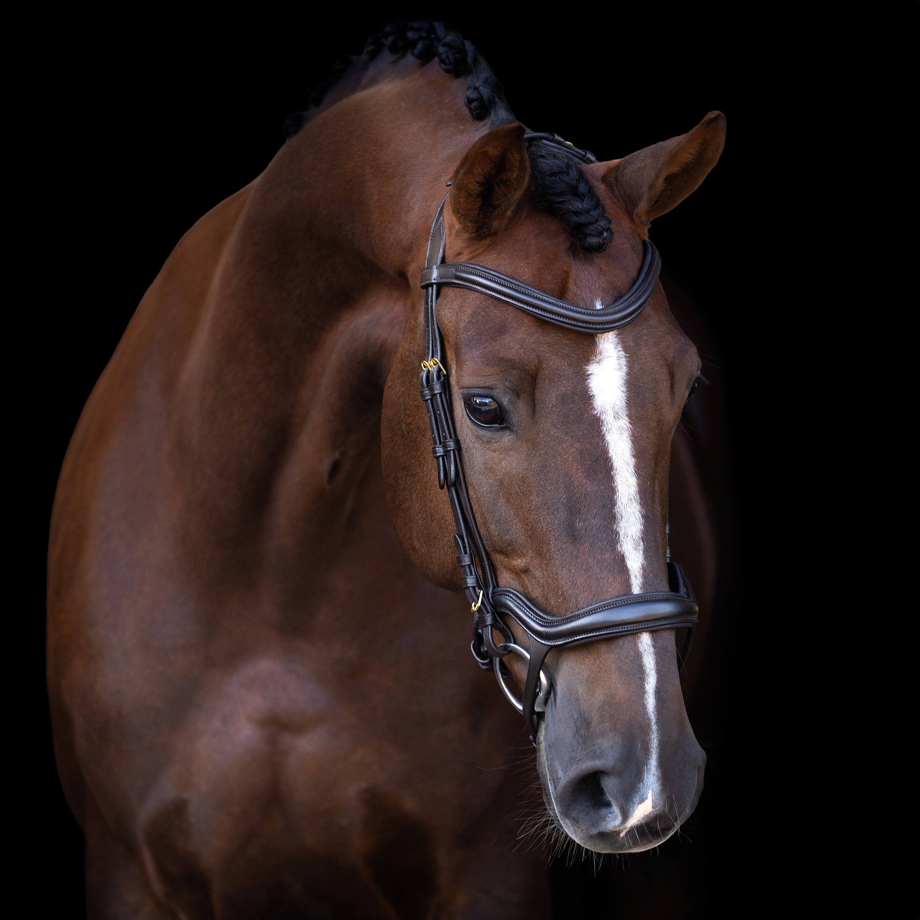 Bridle IRH with ergonomic drop noseband/flash