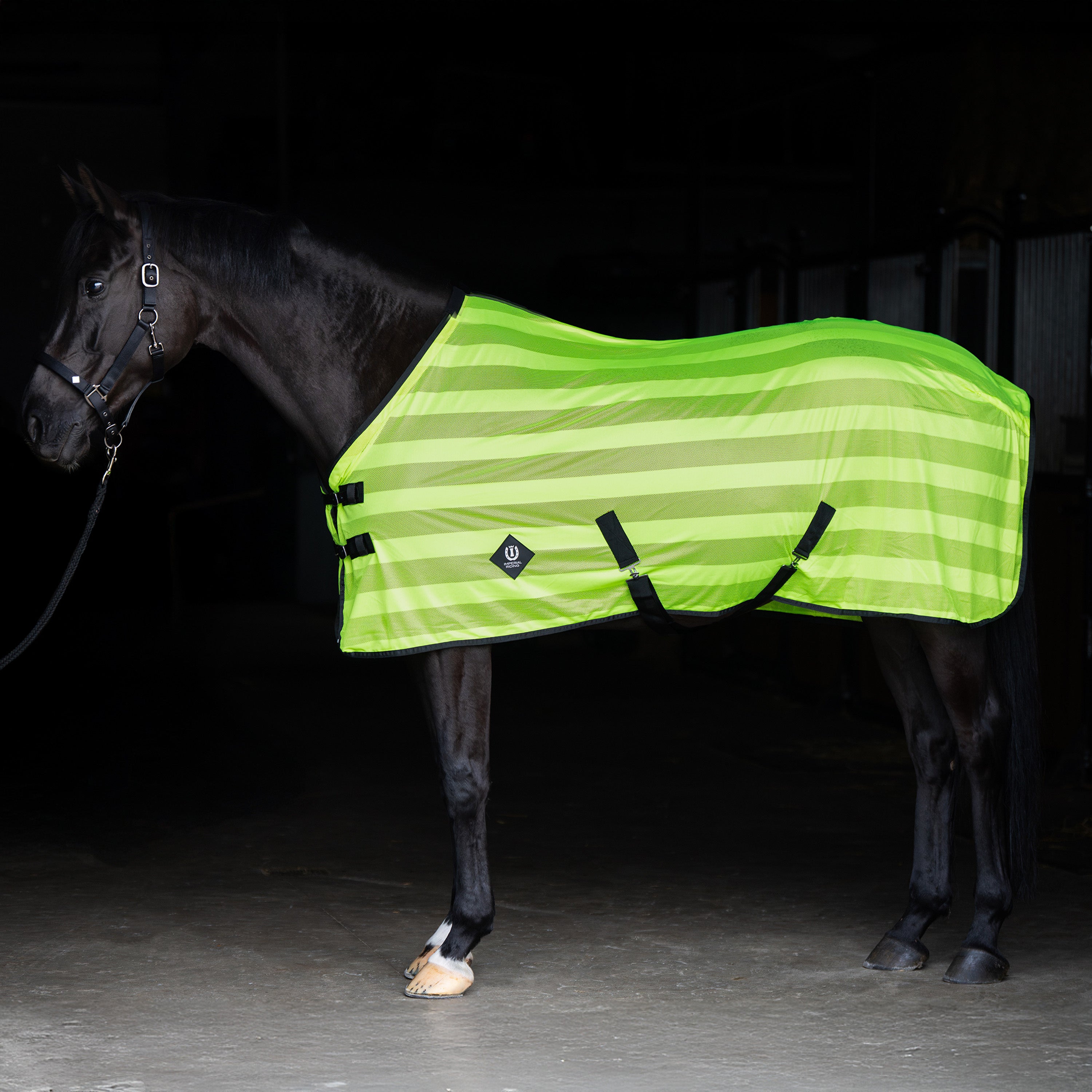 Fly blanket IRHStripe