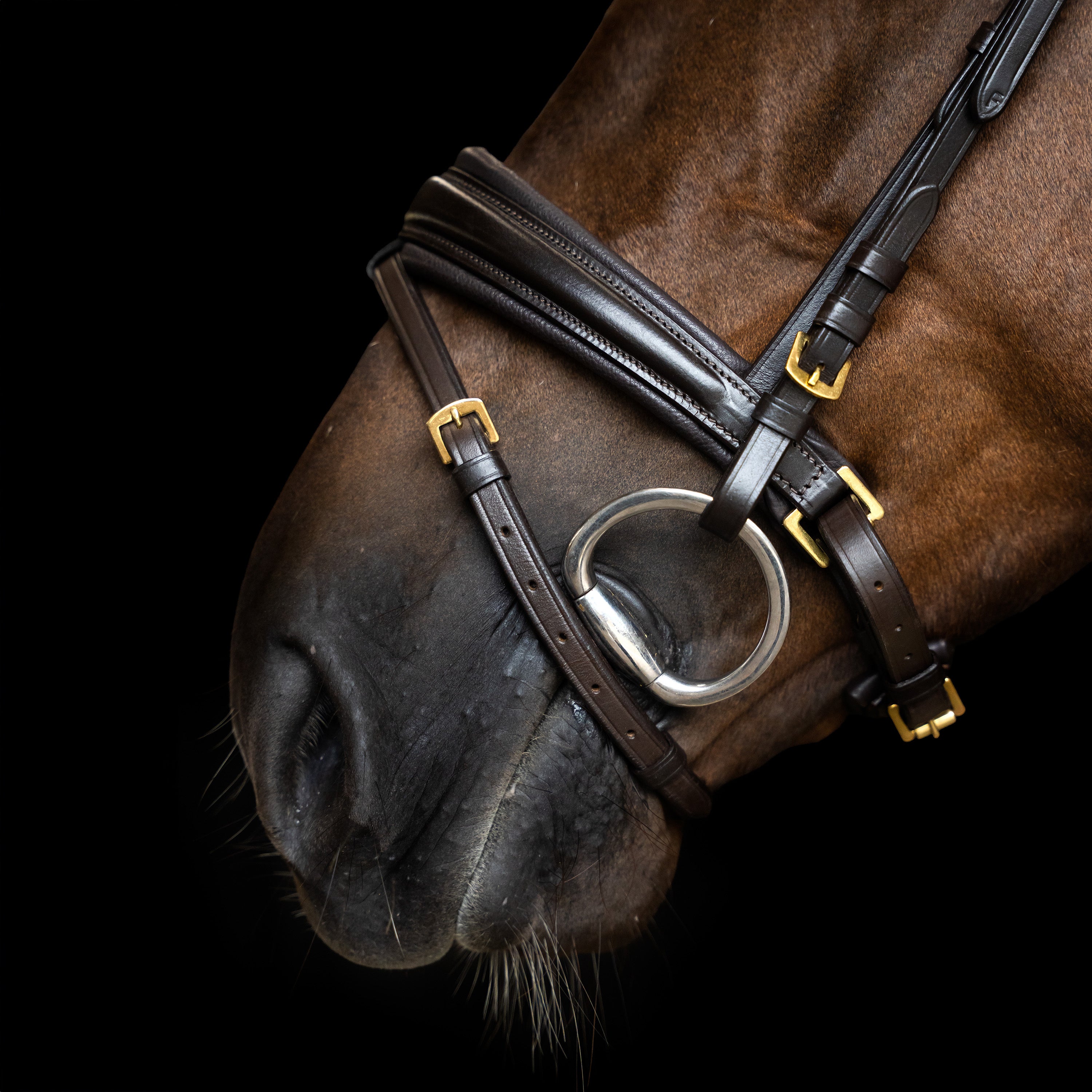 Bridle English IRH combined sleek