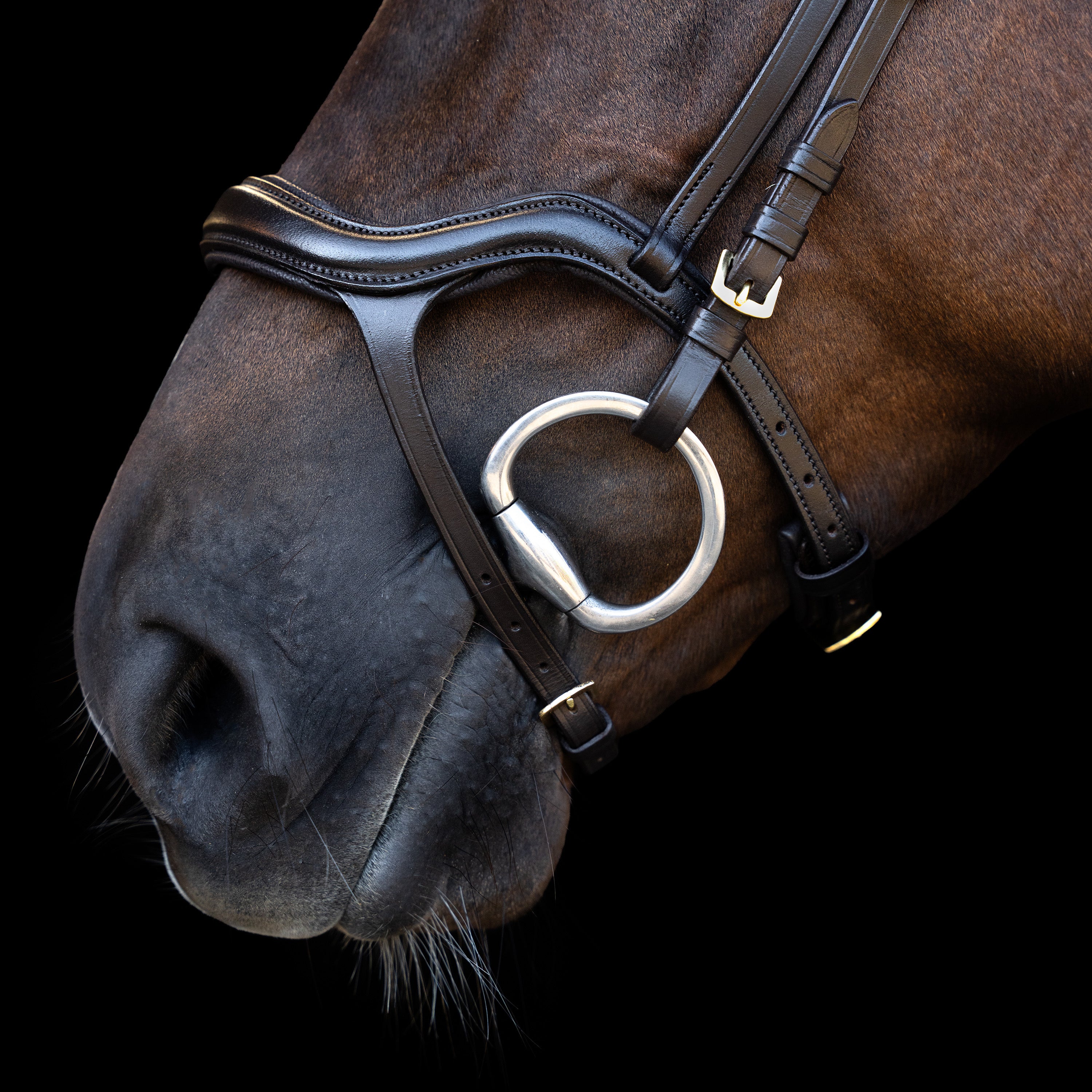 Bridle IRH with ergonomic drop noseband/flash