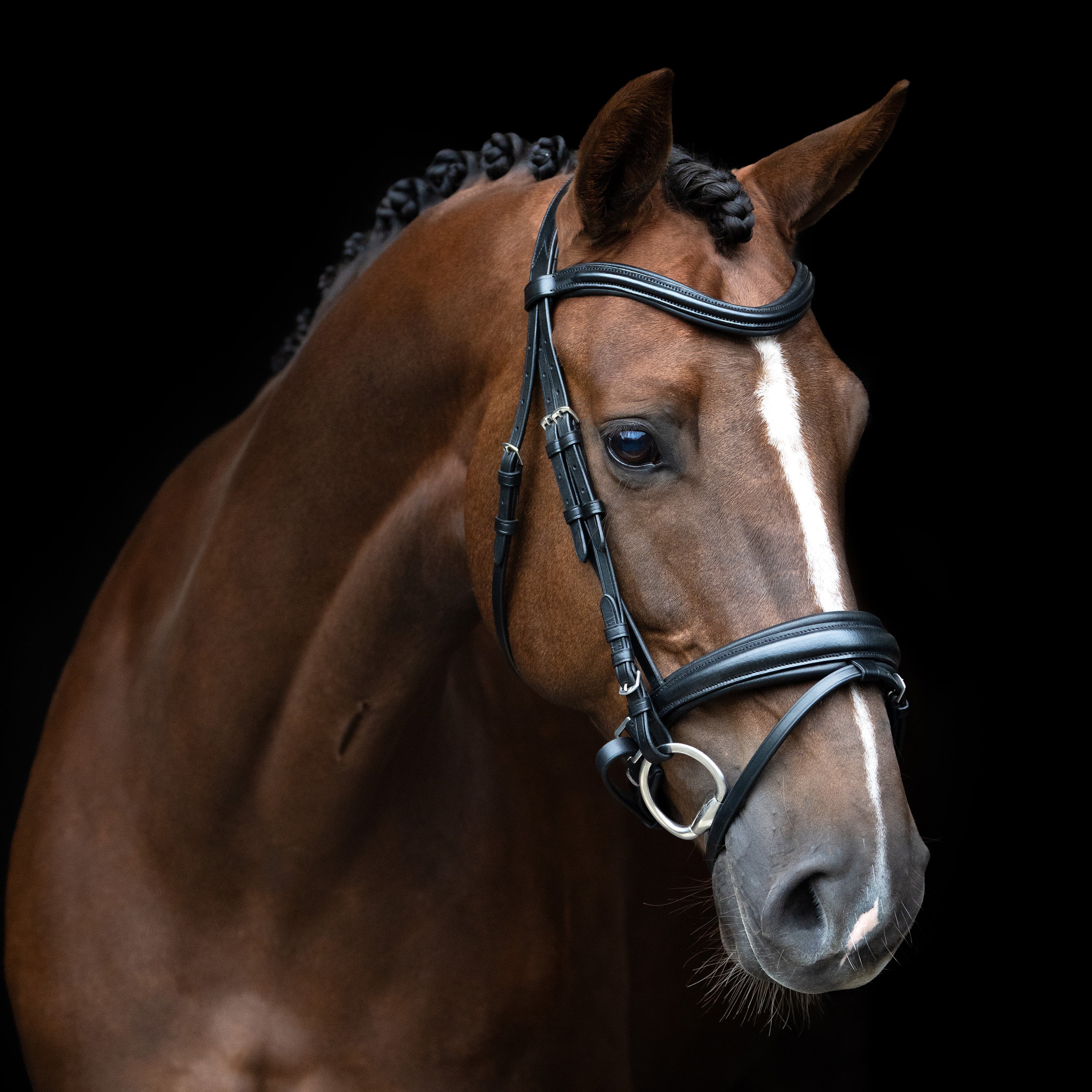 Bridle English IRH combined sleek