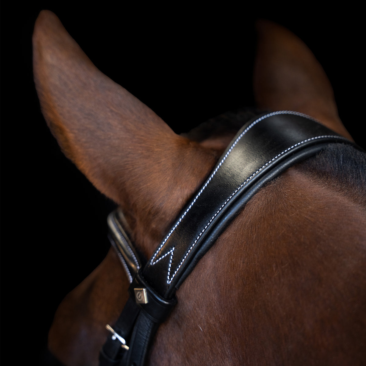 Bridle IRH with curved cut English noseband