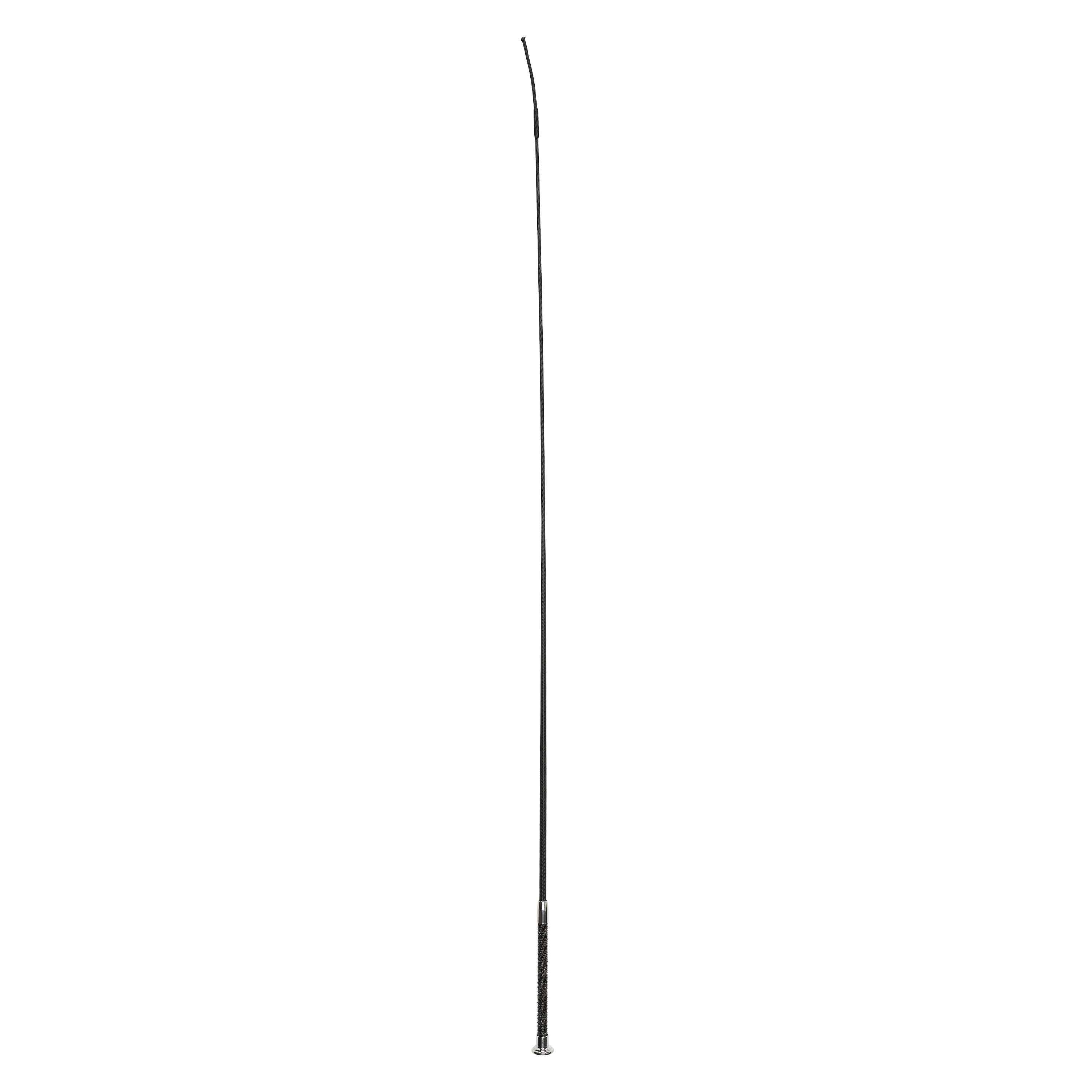 Dressage whip IRHStones