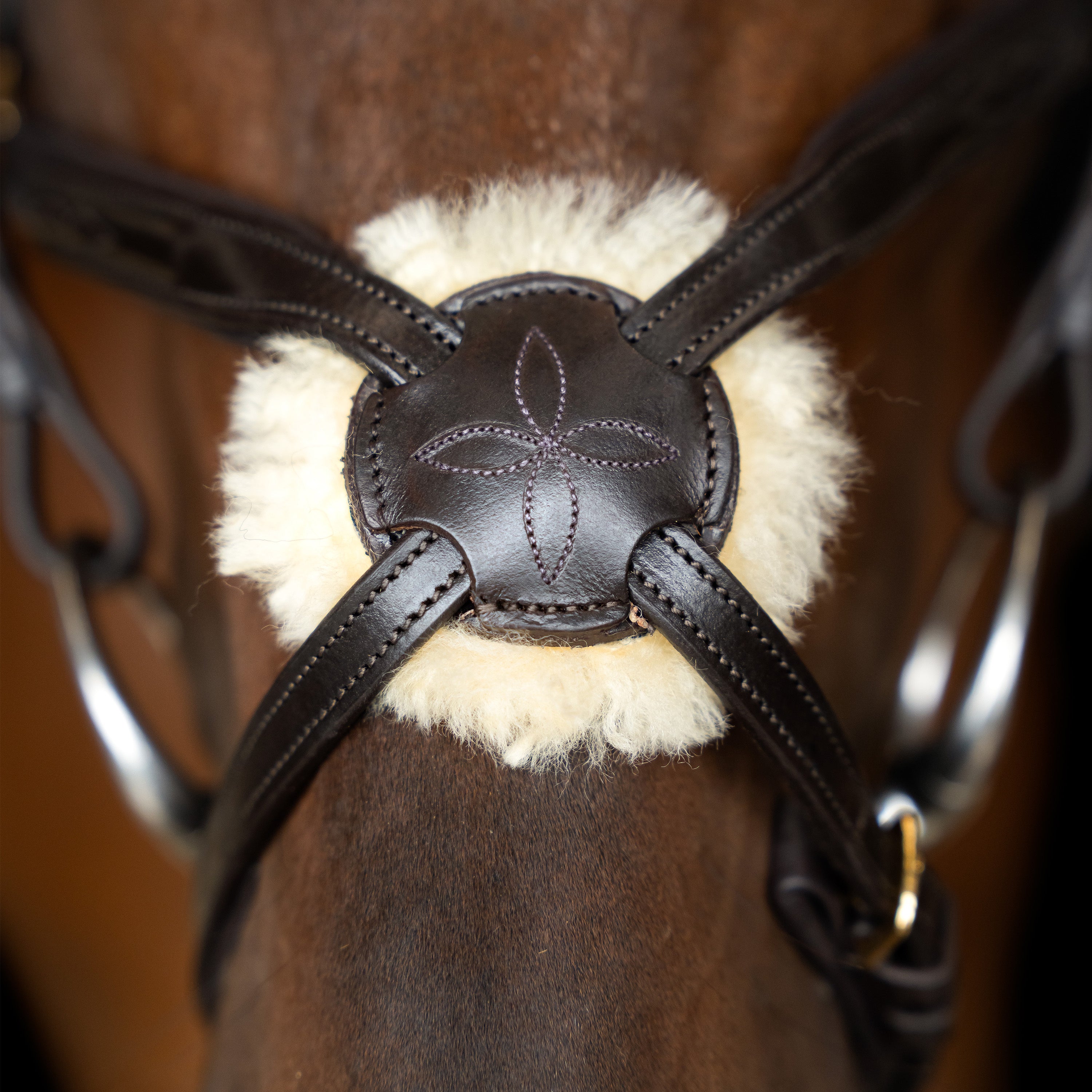 Bridle Mexican IRH
