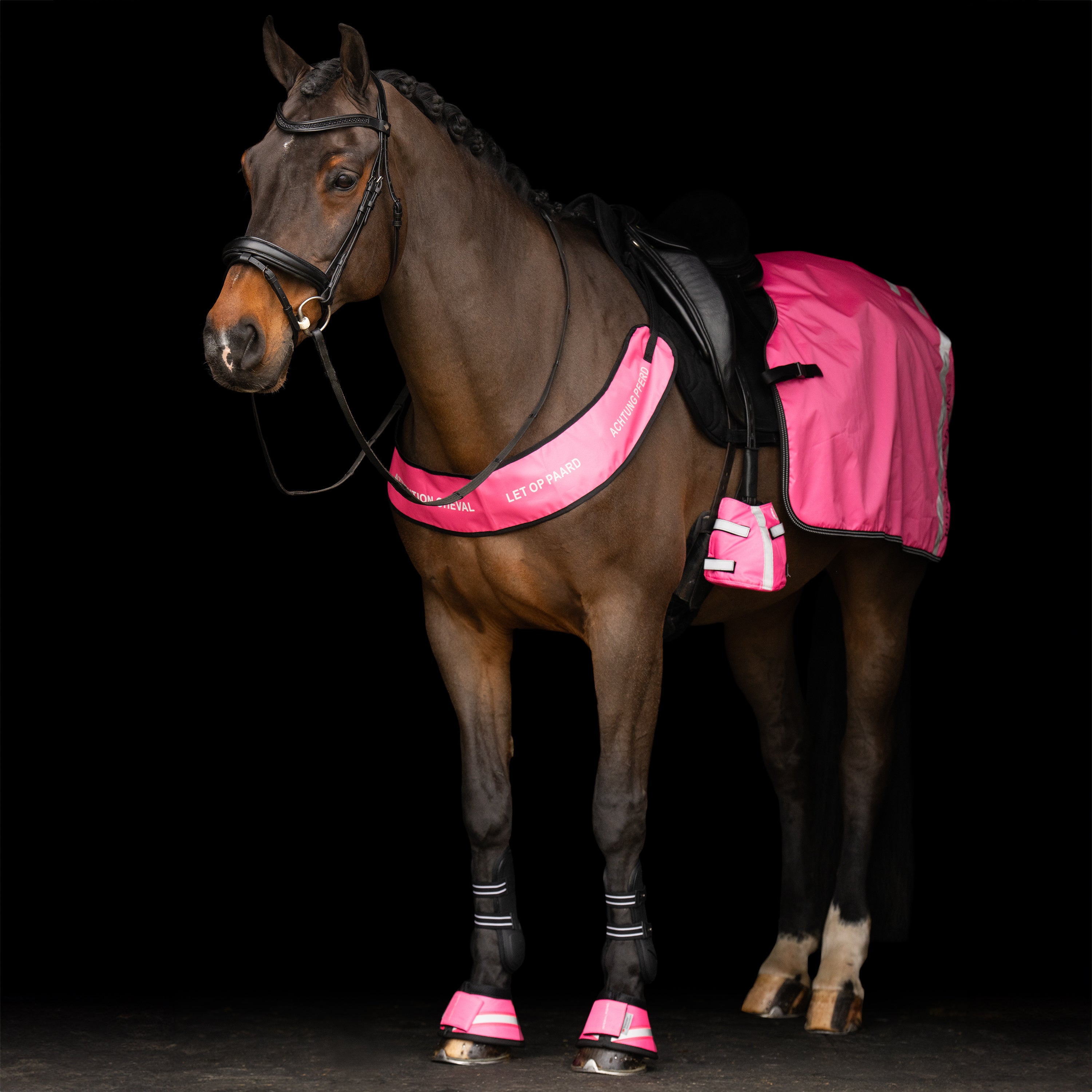 Breast Plate IRHReflective