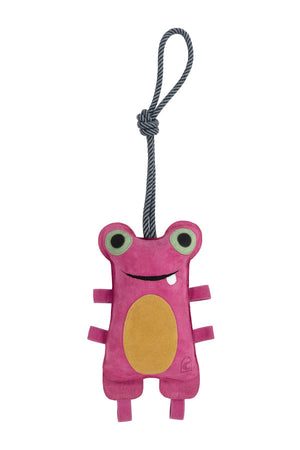 CAVALTIBBY Raspberry