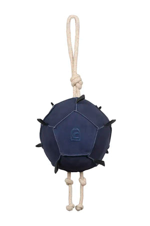 CAVALTONI Admiral Blue