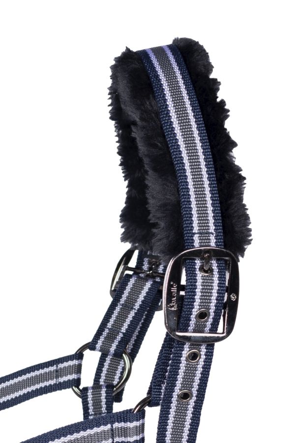 CAVALHELIA DARKBLUE / GP/PONY