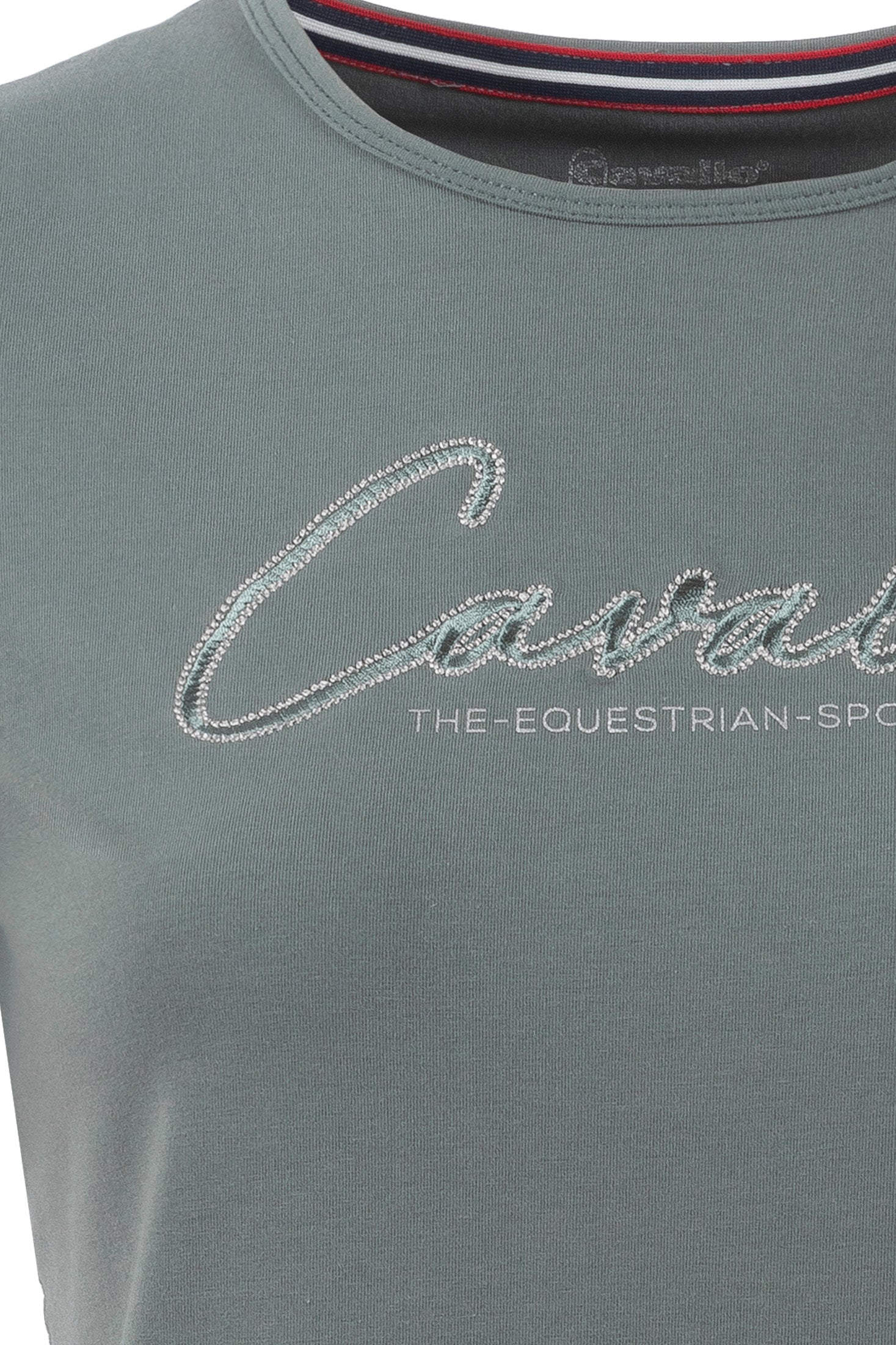 https://www.cavallo.info/media/fb/e9/ed/1740669836/A004581_D_42_04.jpg?ts=1748589402