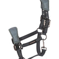 The halter has anatomically shaped softshell padding in the nose and neck area, which is decorated with discreet Cavallo logos