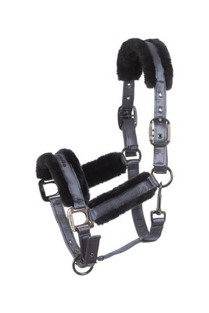 CAVALJERO steel / GP/PONNY