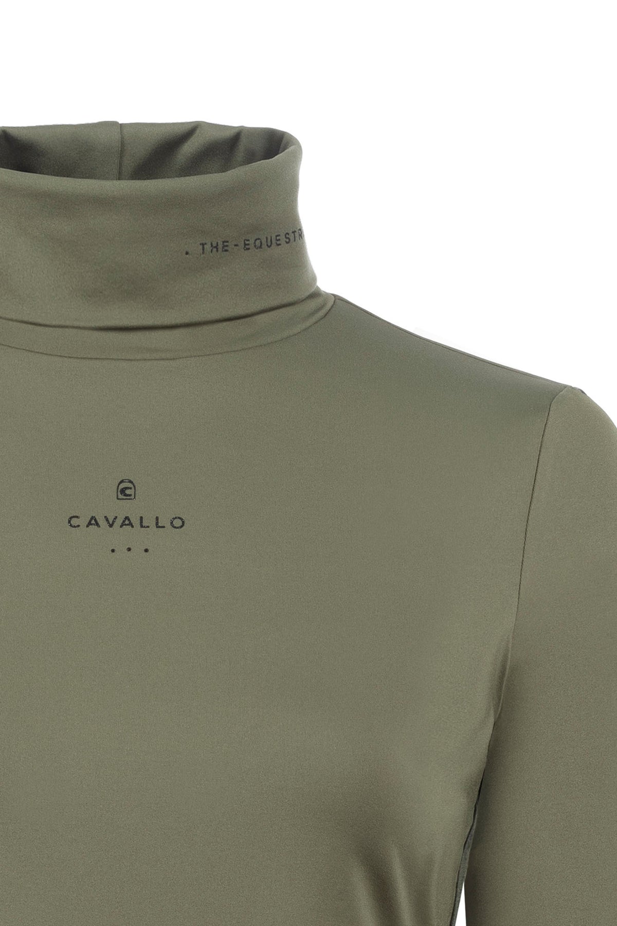 turtleneck shirt CAVALRACINA-
Fitted turtleneck shirt from functional fabric
