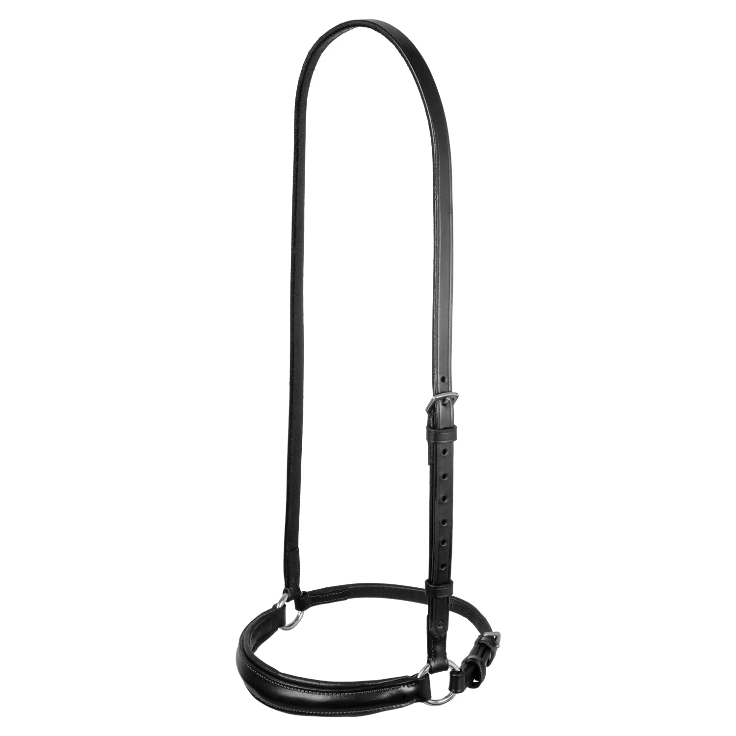 leather german style noseband bridle