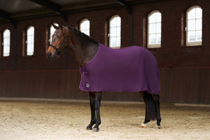 Fleece blanket IRHFundamental Basic Fig / 165