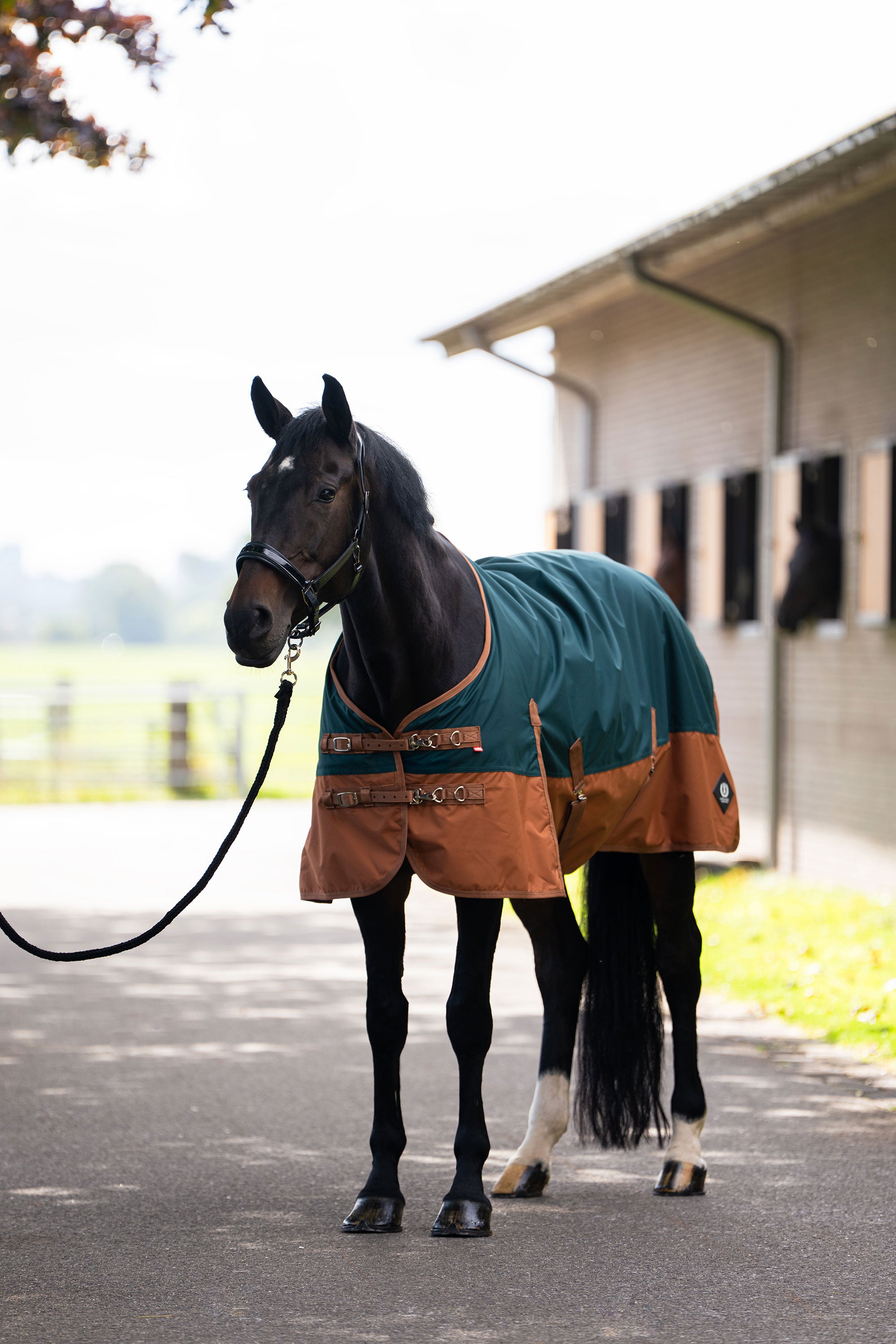 Outdoor blanket IRHCustomized without neck Fleece Dark Green - Fox / 175