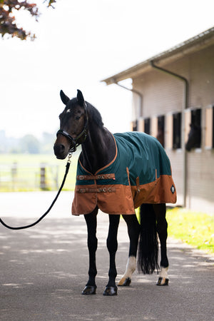 Outdoor blanket IRHCustomized without neck Fleece Dark Green - Fox / 175