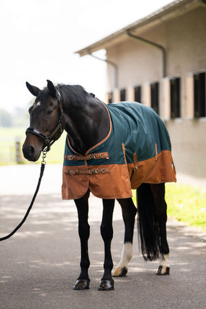 Outdoor blanket IRHCustomized without neck Fleece Dark Green - Fox / 175