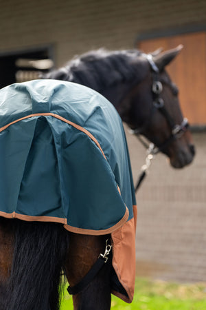 Outdoor blanket IRHCustomized without neck Fleece Dark Green - Fox / 175