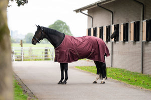 Outdoor blanket IRHBasic without neck 300gr Deep Red / 215