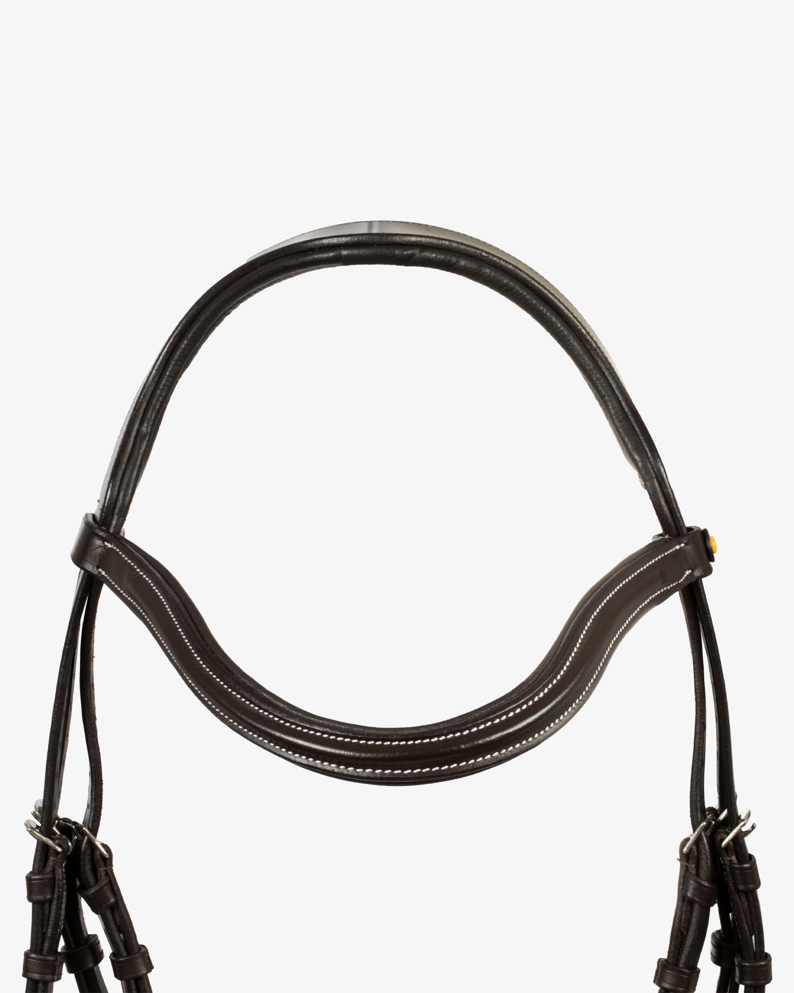 mexican leather bridle