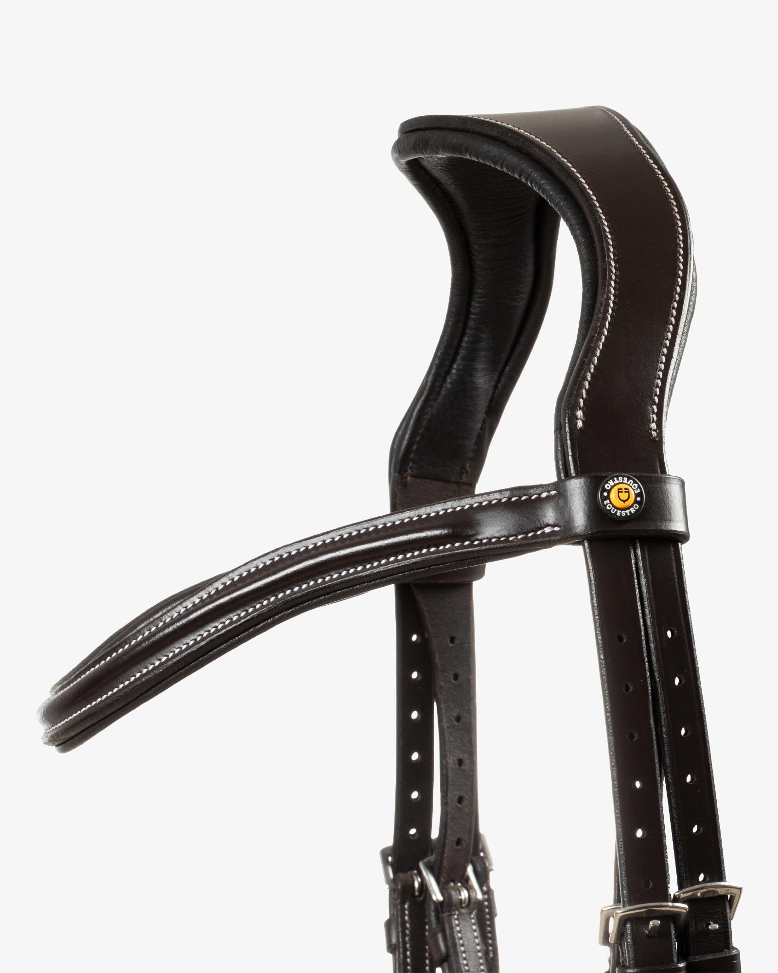 mexican leather bridle