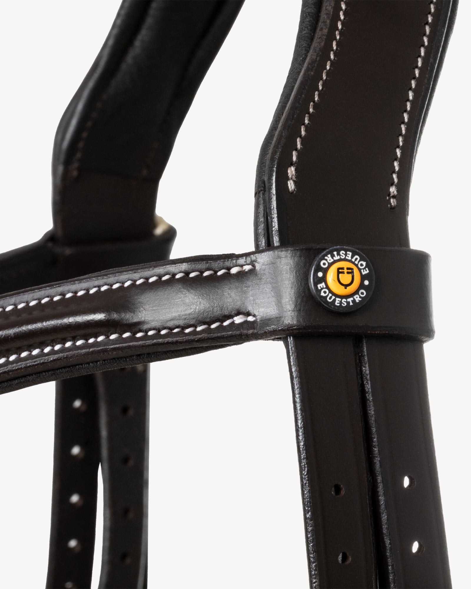mexican leather bridle
