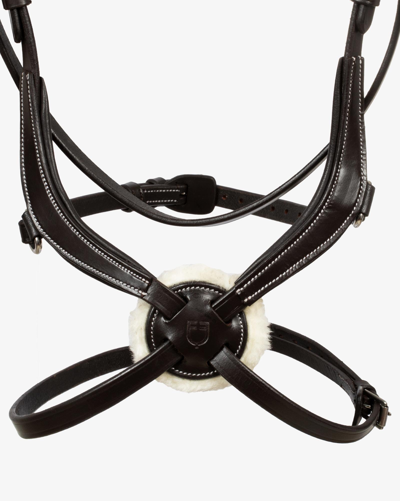 mexican leather bridle