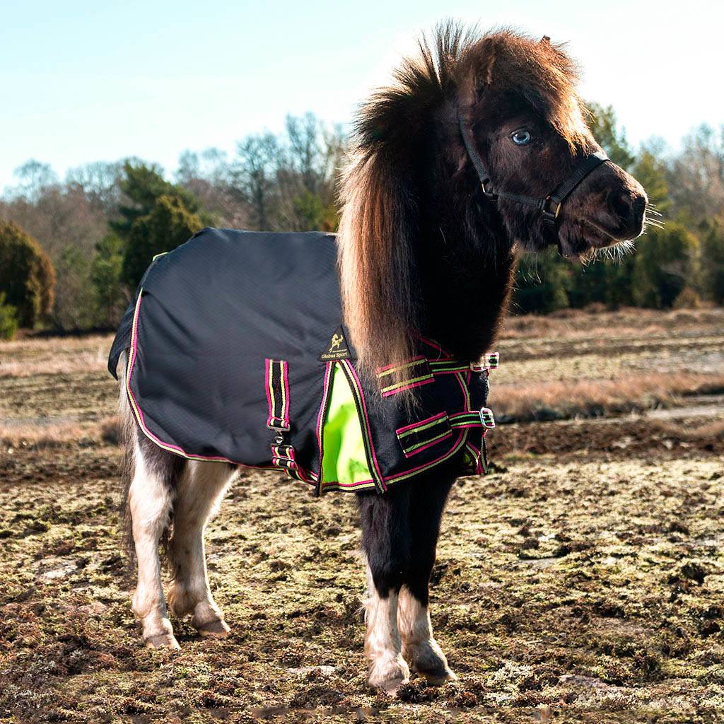 Regn- & Utegångstäcke Globus – Miniatyr - 55cm, Marin