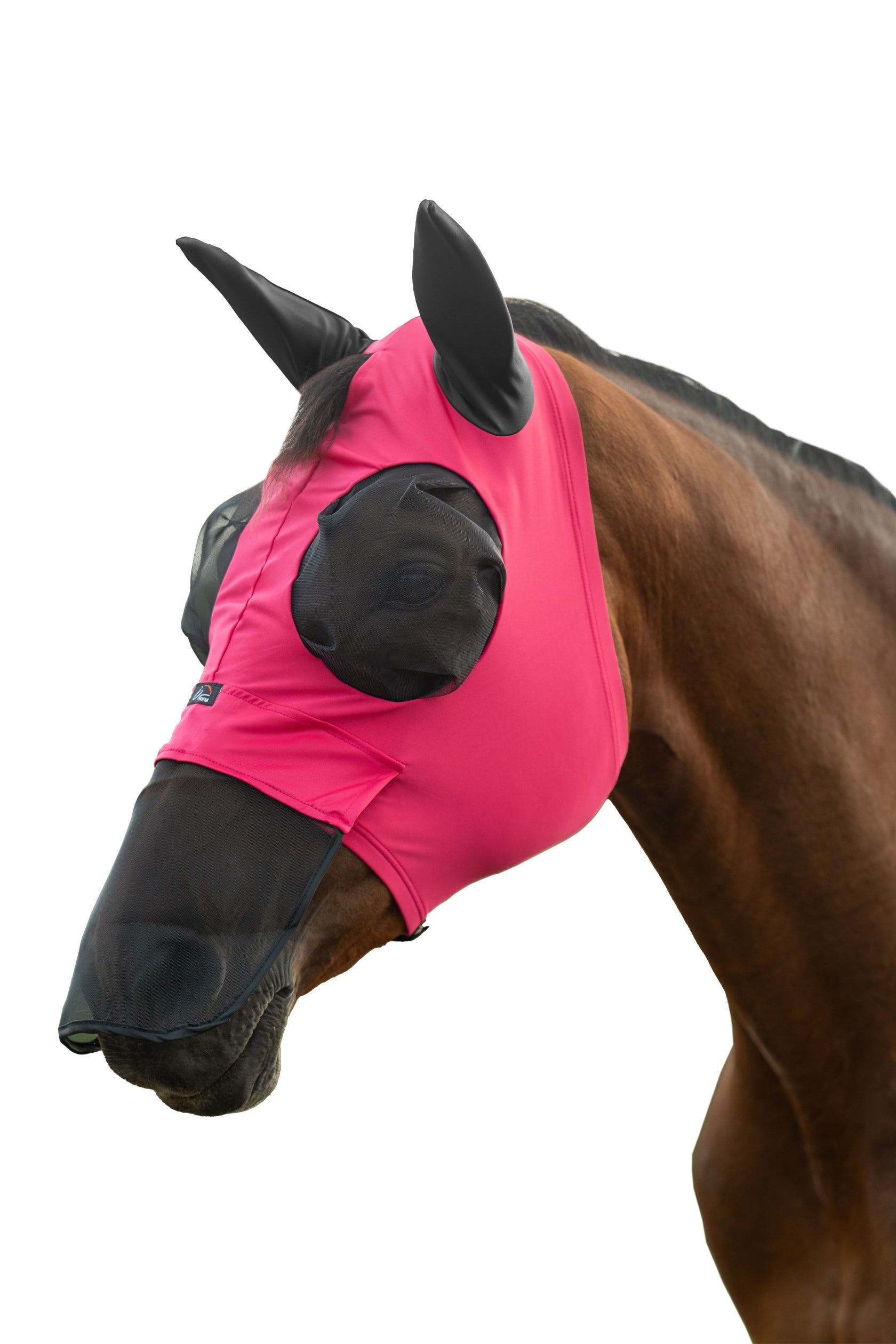 Anti-fly mask -Elastic- with nose protection