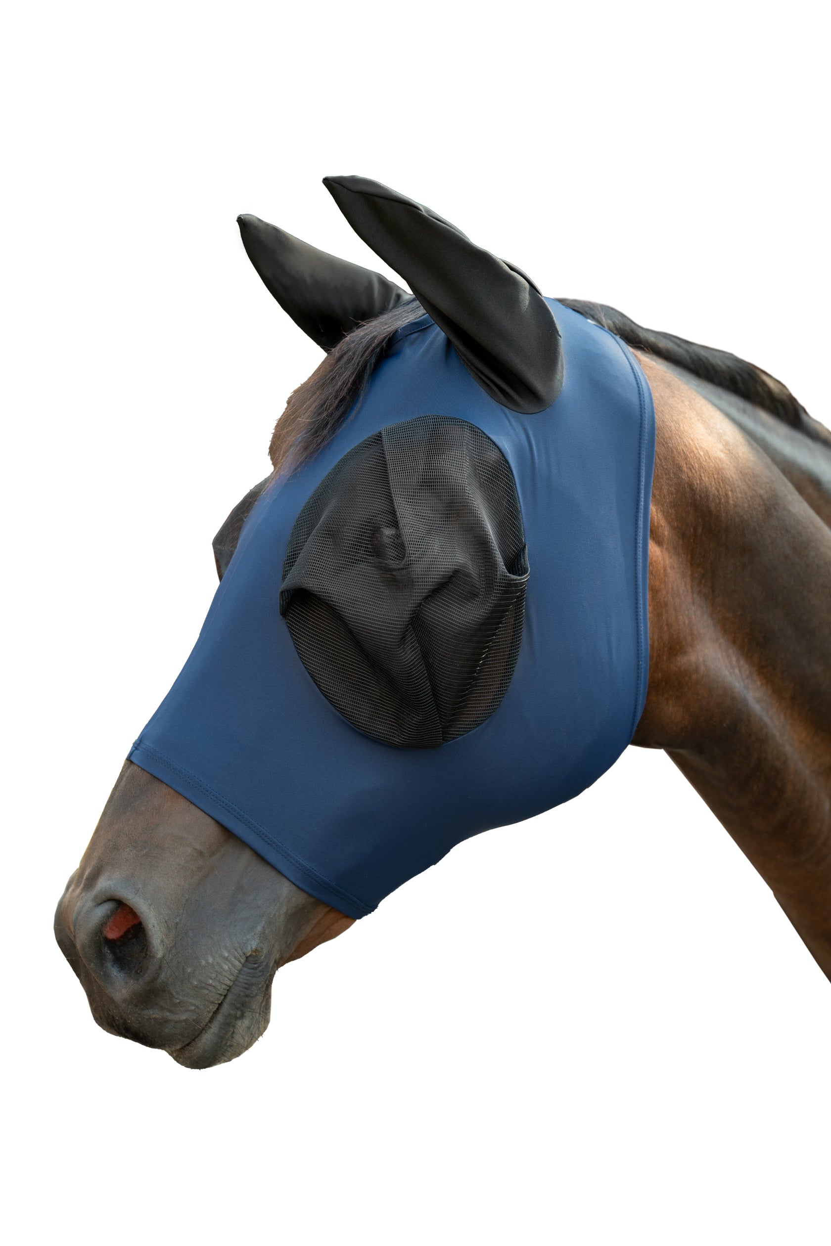 Anti-fly mask -Essentials-