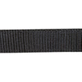 Head collar -Stars Economy-