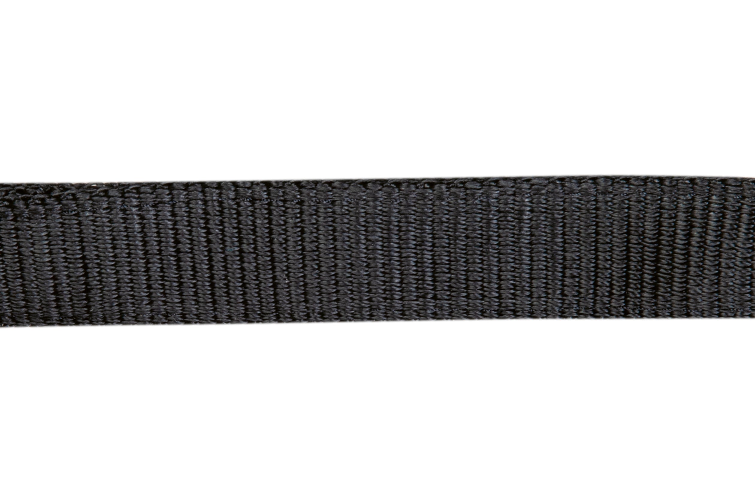 Head collar -Stars Economy-