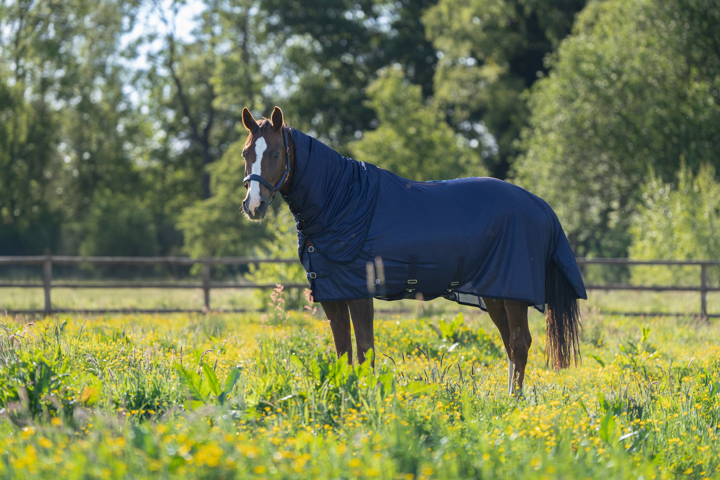 Fly blanket IRHReese Navy / 215