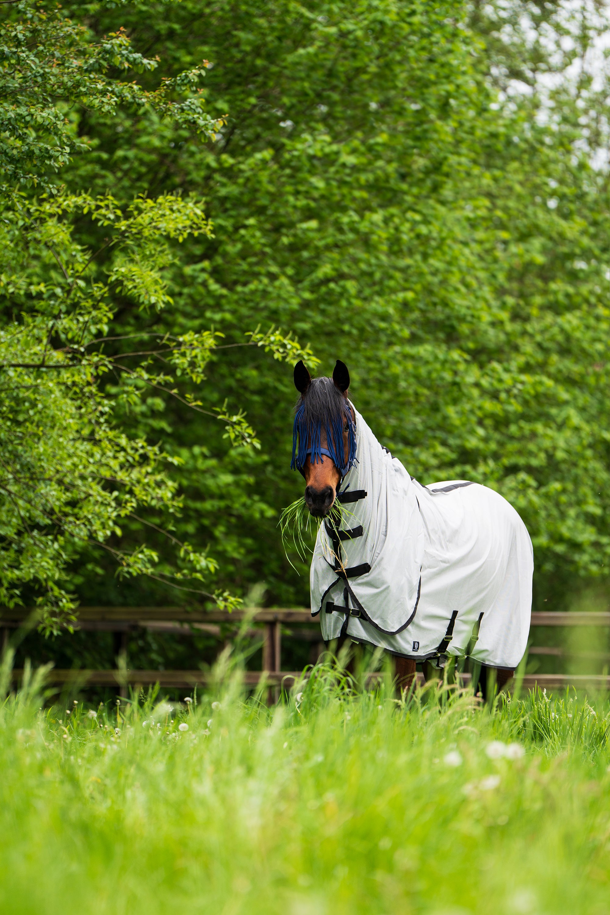 Fly blanket IRHReese Silvergrey / 215
